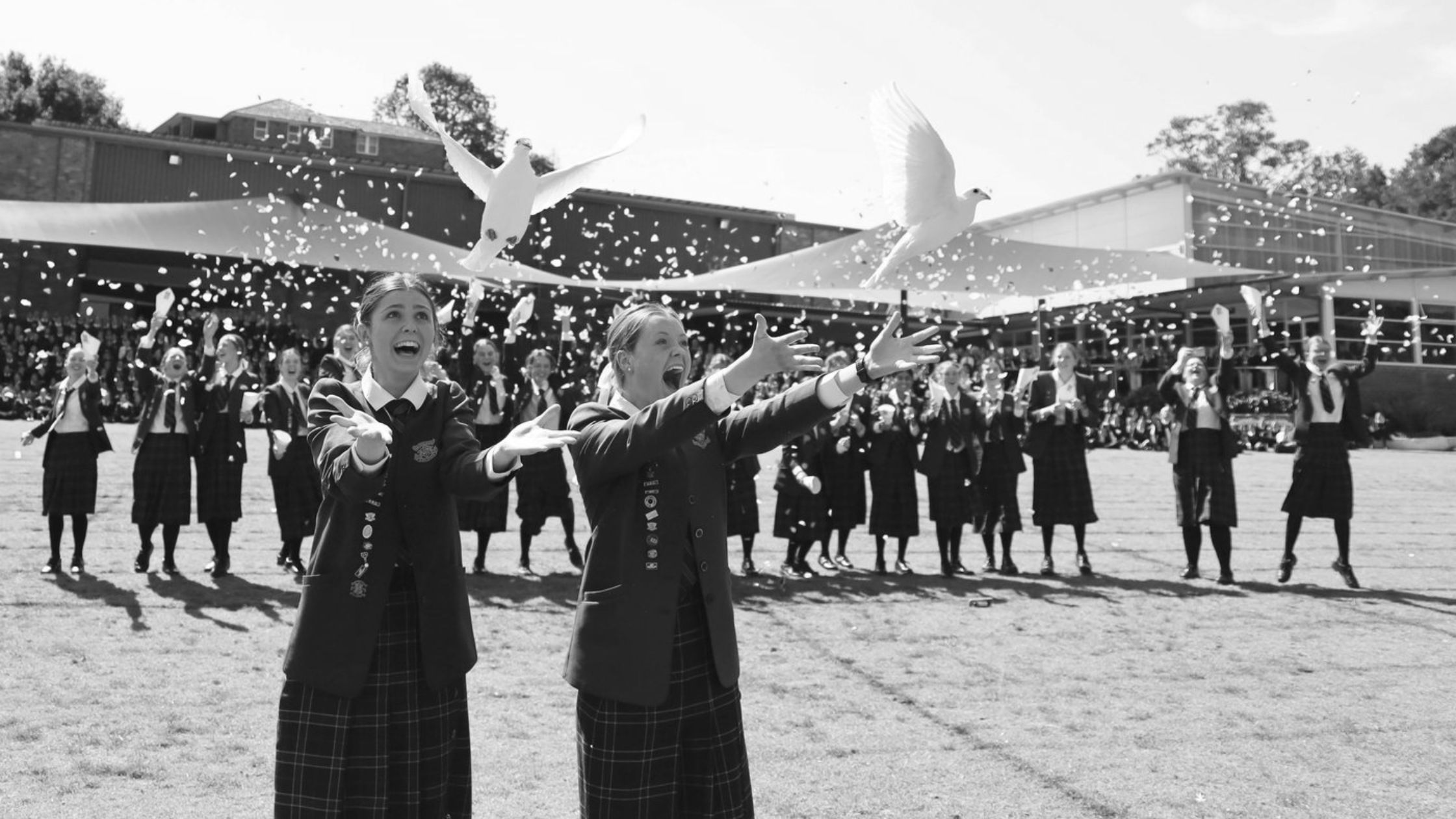 Loreto Normanhurst Pigeons